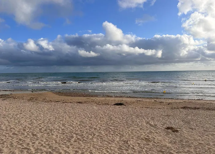 Whale Loft Apartment
